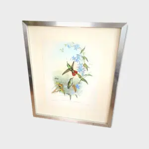 Cadre illustration oiseau