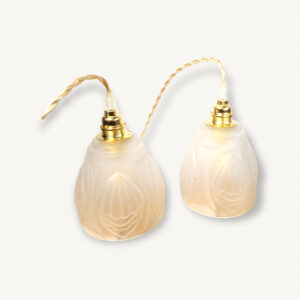 Paire lampes baladeuses globes anciens 01