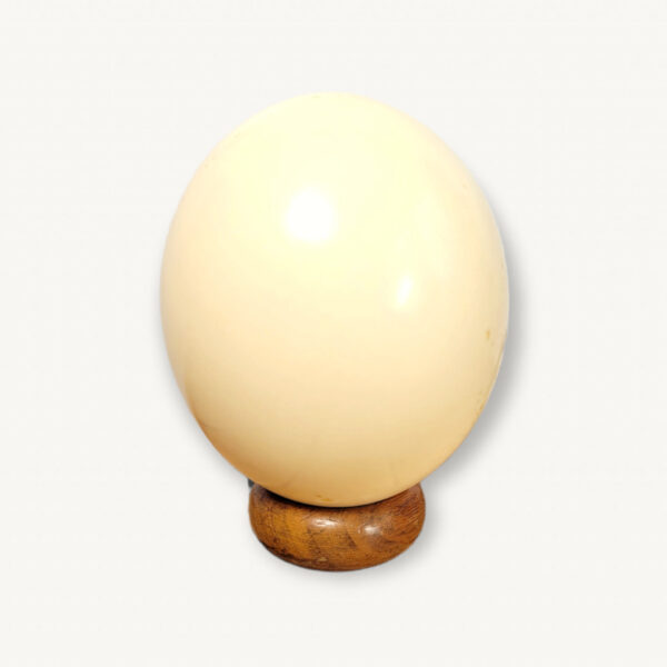 Œuf D'autruche Décoratif Sur Socle Laiton Et Bois – XXe – Hauteur 35 Cm