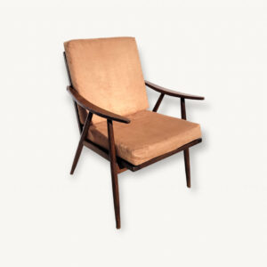 Fauteuil Thonet Boomerang 1950 1 01