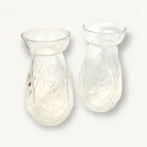 Paire vases vintages bulbes jacinthe 01