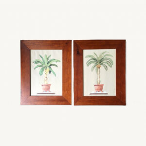 Paire de tableaux illustration palmier bananier 01