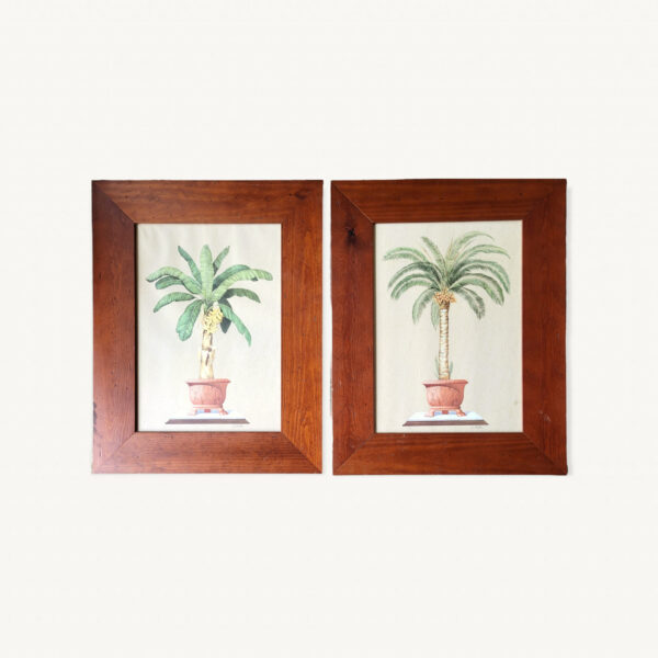 Paire de tableaux illustration palmier bananier 01