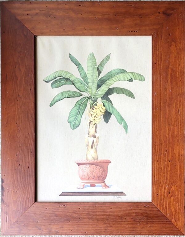 Paire de tableaux illustration palmier bananier 05