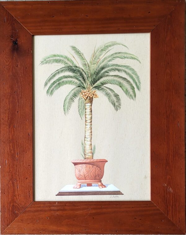 Paire de tableaux illustration palmier bananier 06