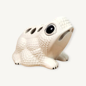 Grenouille pique fleurs 1970 Italie 01