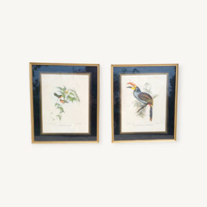 Paire cadres vintages illustration d'oiseaux 01
