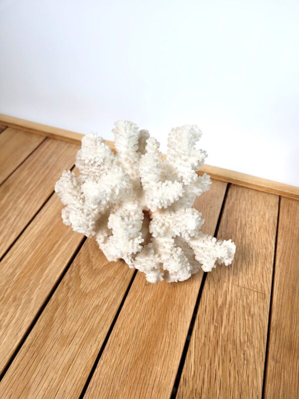 Branche de corail blanc 16cm 02