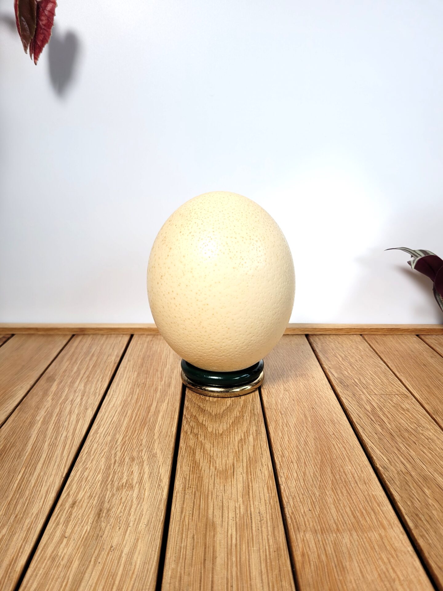 Œuf d'autruche sur socle 01