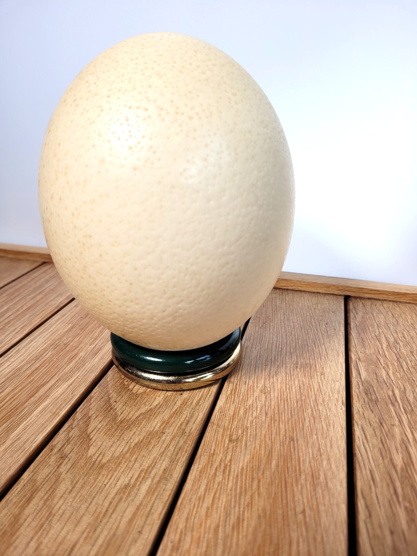Œuf d'autruche sur socle 02