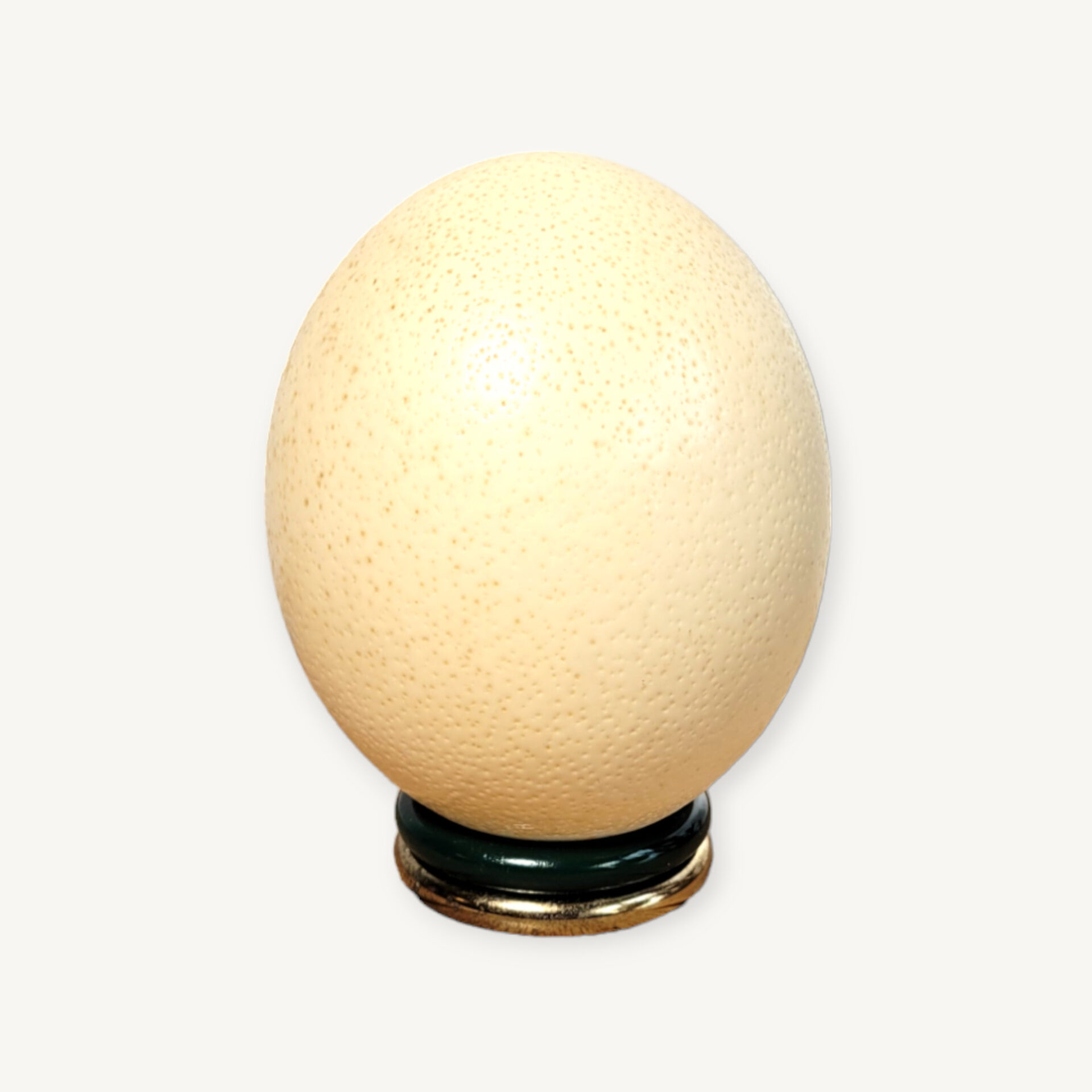 Œuf d'autruche sur socle 05