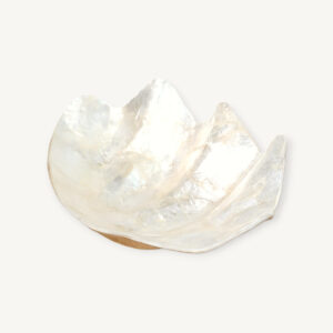 Vide poche coquillage en nacre 06