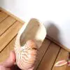 Coquille de nautile coquillage nautilus curiosité 04