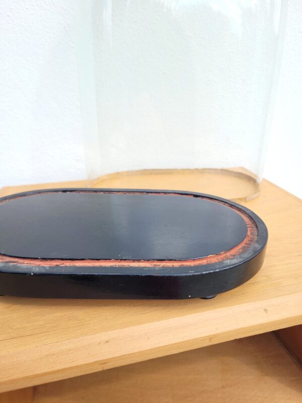 Ancien globe de mariée ou cloche en verre 04