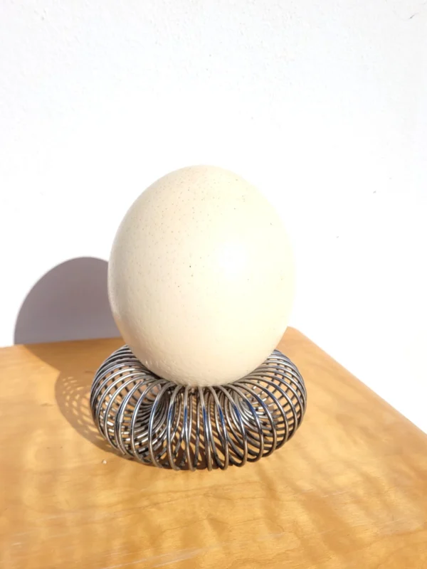 Oeuf d'autruche support ressort 01