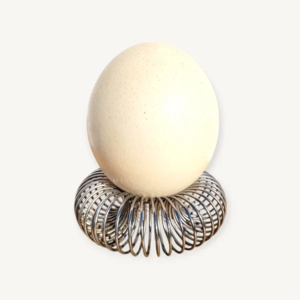 Oeuf d'autruche support ressort 06