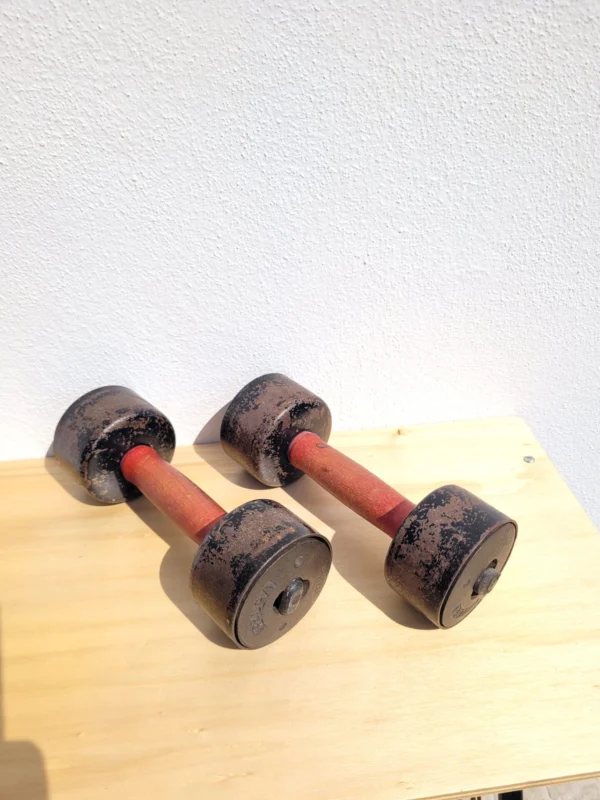 Paire d'haltères anciennes en bois 02